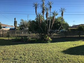 back yard view from lanai