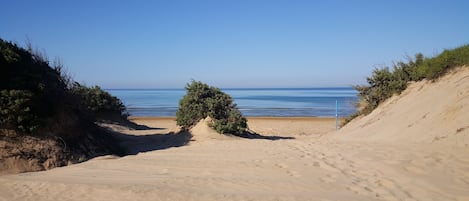 le dune sula spiaggia