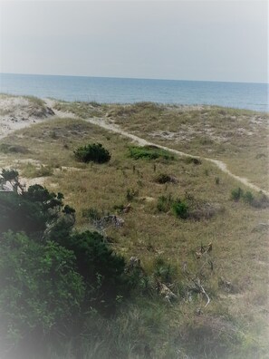 View from house