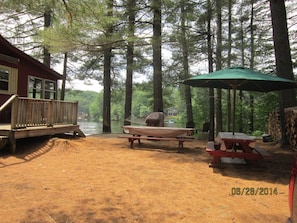 Side Yard with Picnic tables