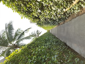 The Naman Retreat,1Bedrooms Garden View