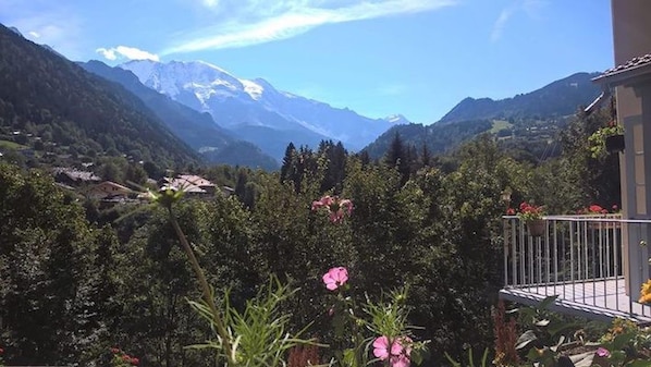 Vue face à la chaine du Mont-Blanc saison estivale