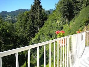 Balcon vue Mont-joly et domaine skiable l'été