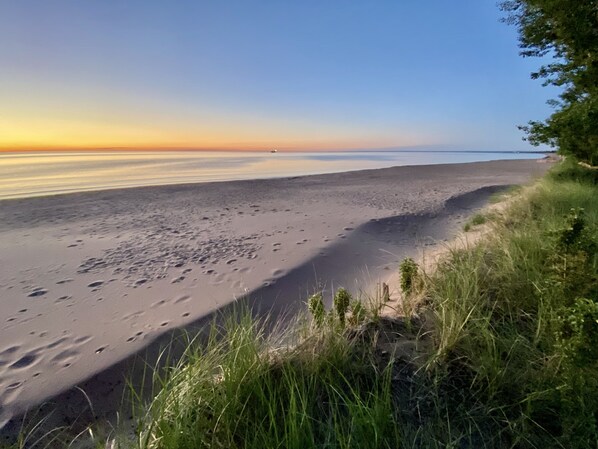 Early summer morning from top of the dune in the back yard