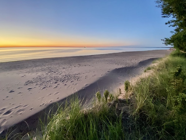 Early summer morning from top of the dune in the back yard