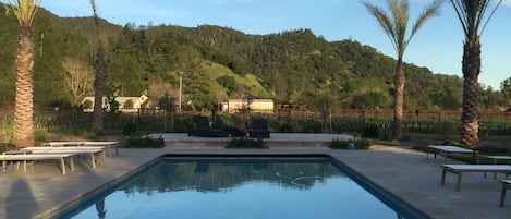 The Pool