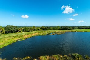 Enjoy all of the water birds and wildlife that frequent the area.