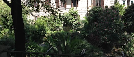 veduta giardino 