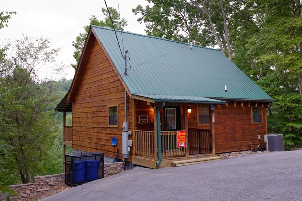 Pigeon Forge Cabin "Beary Beary Special" 