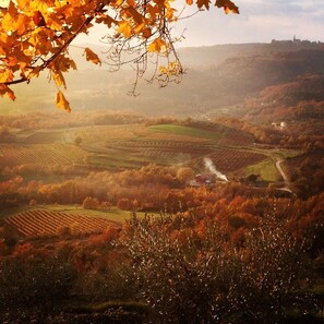 View from an autumn walk in the hills above the house