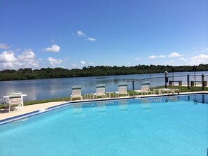 Beautiful pool on waterway! Enjoy the wildlife swimming by and boats motoring by