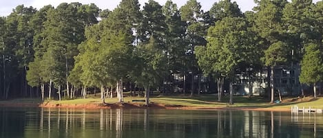 Hartwell Villas from just off the lake shore.