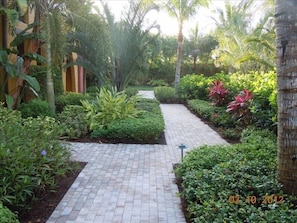 Walking path to the townhouse