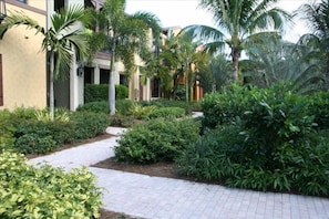 Walking path to the townhouse
