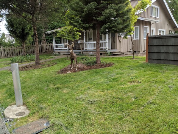 Classic Craftsman country style home.