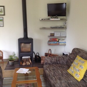 Wood burning stove