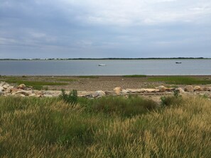 low tide at waterfront