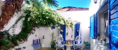 The garden in the back of the house