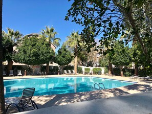 Desert oasis resort style swimming pool, just a 5 min walk from the house. 