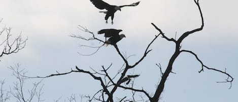 Λεπτομέρεια εσωτερικού χώρου