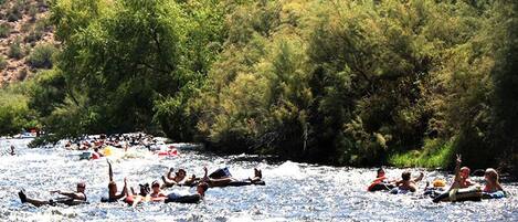 Come tube the Salt River!