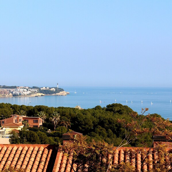 Vue sur la plage ou l’océan