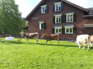 Boendeområde