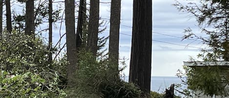 Peek-a-boo view from Beach Trail Bungalow front deck