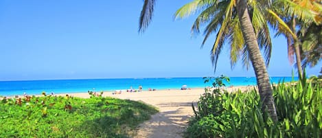 The Pathway to the Beach