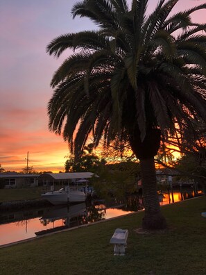 Beautiful backyard sunsets