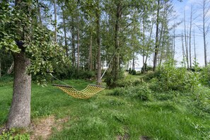 Trädgård