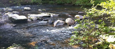 Terrain de l’hébergement 