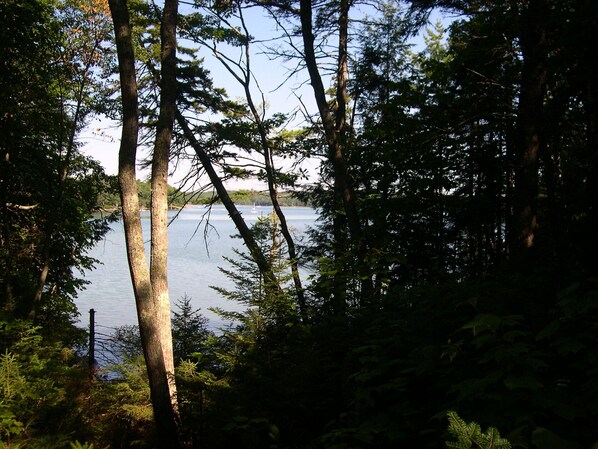 View of the back cove from the cottage deck