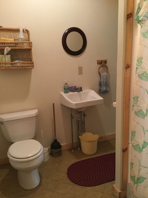 Downstairs bathroom with connecting door to bedroom and living room