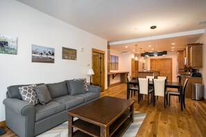 New couch with a pull out sofa bed in the living space