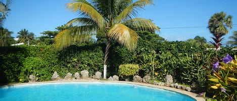 Tropical garden Pool view