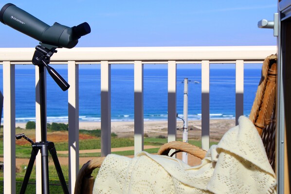 Jardin et parking derrière la maison, à environ 50 m, avec vue sur la mer