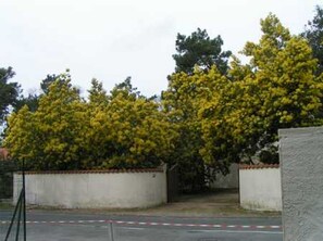 Property grounds