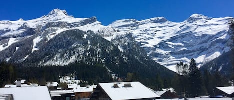 Vue sur le massif des Diablerets