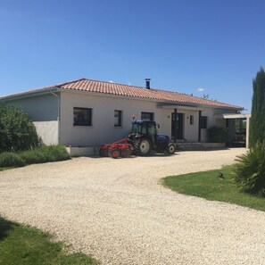Exteriör