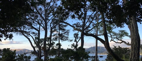 view of bay and trees from living room