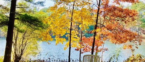 Clear Pond in Autumn