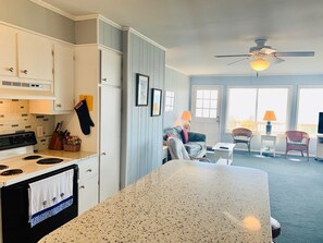 Lower Level Kitchen and Living Area