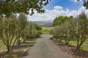 View from Front Gate - Entry Driveway