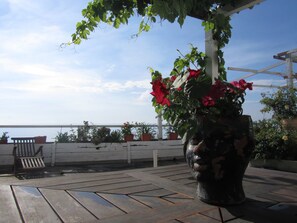 Terrace details