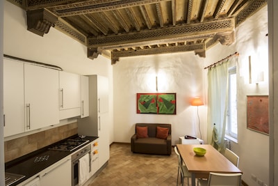 GH Paradiso apartments - App. "Camelia" in Siena center