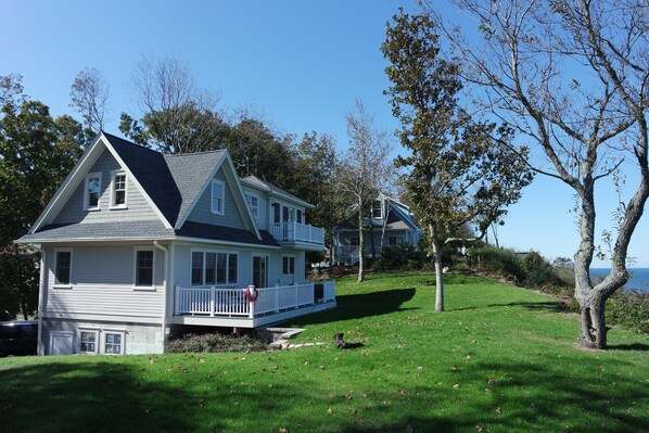 backyard view