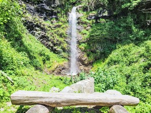 Water, Plant, Plant Community, Ecoregion, Natural Environment, Natural Landscape, Waterfall, Grass, Terrestrial Plant, Watercourse