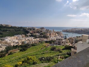 View from the back terrace