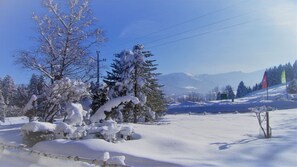 Snow and ski sports